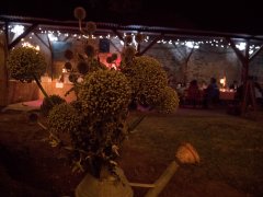 Guinguette 2016